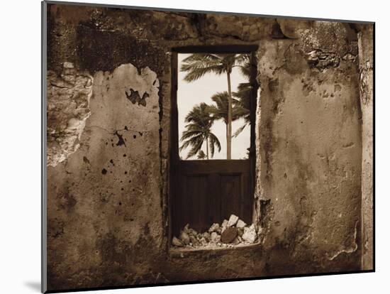 Palm View I-C^ J^ Groth-Mounted Giclee Print