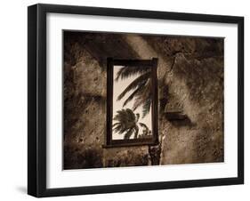 Palm View II-C^ J^ Groth-Framed Giclee Print