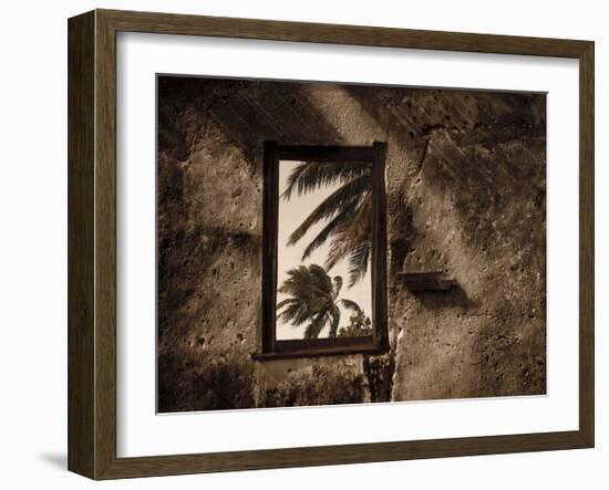 Palm View II-C^ J^ Groth-Framed Giclee Print