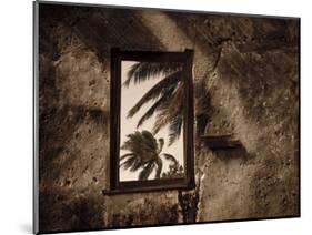 Palm View II-C^ J^ Groth-Mounted Giclee Print