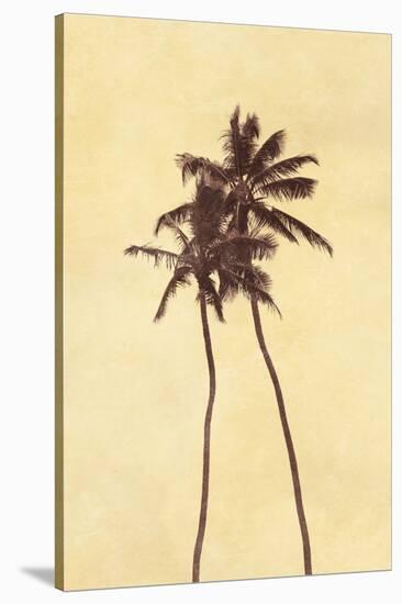 Palm Vista I-Thea Schrack-Stretched Canvas