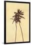 Palm Vista I-Thea Schrack-Framed Giclee Print