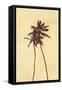 Palm Vista I-Thea Schrack-Framed Stretched Canvas