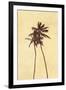 Palm Vista I-Thea Schrack-Framed Giclee Print