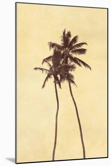 Palm Vista I-Thea Schrack-Mounted Giclee Print