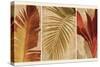 Palm Vista I-John Seba-Stretched Canvas