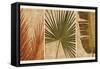 Palm Vista II-John Seba-Framed Stretched Canvas