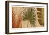 Palm Vista II-John Seba-Framed Art Print