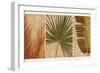 Palm Vista II-John Seba-Framed Art Print