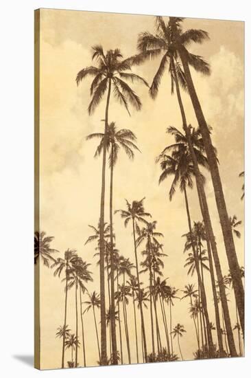 Palm Vista V-Thea Schrack-Stretched Canvas