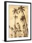 Palm Vista V-Thea Schrack-Framed Giclee Print