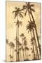 Palm Vista V-Thea Schrack-Mounted Giclee Print