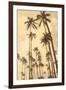 Palm Vista V-Thea Schrack-Framed Giclee Print