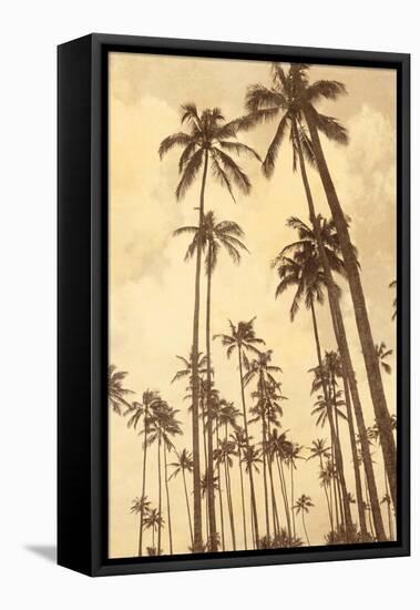 Palm Vista V-Thea Schrack-Framed Stretched Canvas