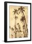 Palm Vista V-Thea Schrack-Framed Premium Giclee Print