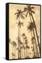 Palm Vista V-Thea Schrack-Framed Stretched Canvas