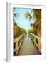 Palm Walkway I-Susan Bryant-Framed Art Print