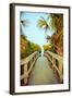 Palm Walkway I-Susan Bryant-Framed Art Print