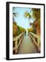 Palm Walkway I-Susan Bryant-Framed Art Print