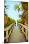 Palm Walkway I-Susan Bryant-Mounted Art Print