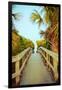 Palm Walkway I-Susan Bryant-Framed Art Print