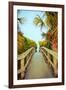 Palm Walkway I-Susan Bryant-Framed Art Print