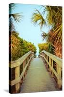 Palm Walkway I-Susan Bryant-Stretched Canvas