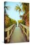 Palm Walkway I-Susan Bryant-Stretched Canvas