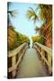 Palm Walkway I-Susan Bryant-Stretched Canvas