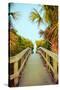 Palm Walkway I-Susan Bryant-Stretched Canvas