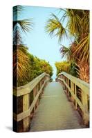 Palm Walkway I-Susan Bryant-Stretched Canvas