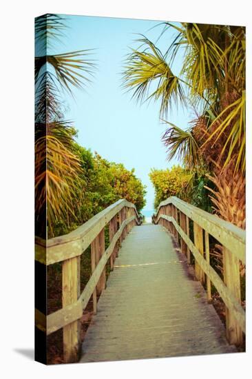 Palm Walkway I-Susan Bryant-Stretched Canvas