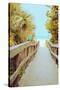 Palm Walkway II-Susan Bryant-Stretched Canvas