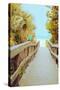 Palm Walkway II-Susan Bryant-Stretched Canvas