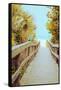 Palm Walkway II-Susan Bryant-Framed Stretched Canvas