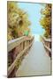 Palm Walkway II-Susan Bryant-Mounted Art Print