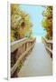 Palm Walkway II-Susan Bryant-Framed Art Print