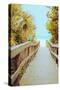 Palm Walkway II-Susan Bryant-Stretched Canvas