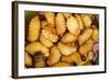 Palm Weevil Grubs. Pompeya Market. Amazon Rainforest, Ecuador-Pete Oxford-Framed Photographic Print