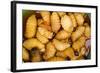 Palm Weevil Grubs. Pompeya Market. Amazon Rainforest, Ecuador-Pete Oxford-Framed Photographic Print