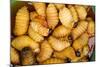 Palm Weevil Grubs. Pompeya Market. Amazon Rainforest, Ecuador-Pete Oxford-Mounted Photographic Print