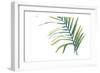 Palm Wonderful V-June Vess-Framed Art Print