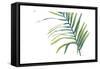 Palm Wonderful V-June Vess-Framed Stretched Canvas