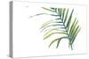 Palm Wonderful V-June Vess-Stretched Canvas