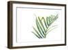 Palm Wonderful VI-June Vess-Framed Premium Giclee Print