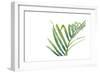 Palm Wonderful VI-June Vess-Framed Premium Giclee Print