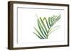 Palm Wonderful VI-June Vess-Framed Art Print