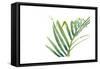 Palm Wonderful VI-June Vess-Framed Stretched Canvas