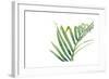 Palm Wonderful VI-June Vess-Framed Art Print