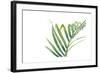 Palm Wonderful VI-June Vess-Framed Art Print